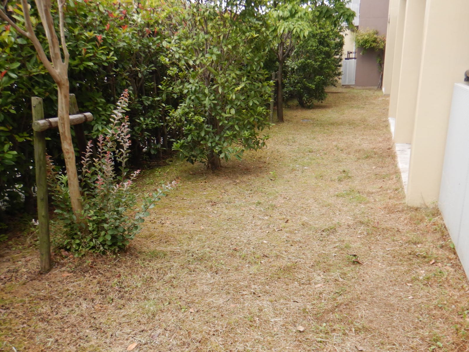 福岡市東区集合住宅の除草作業